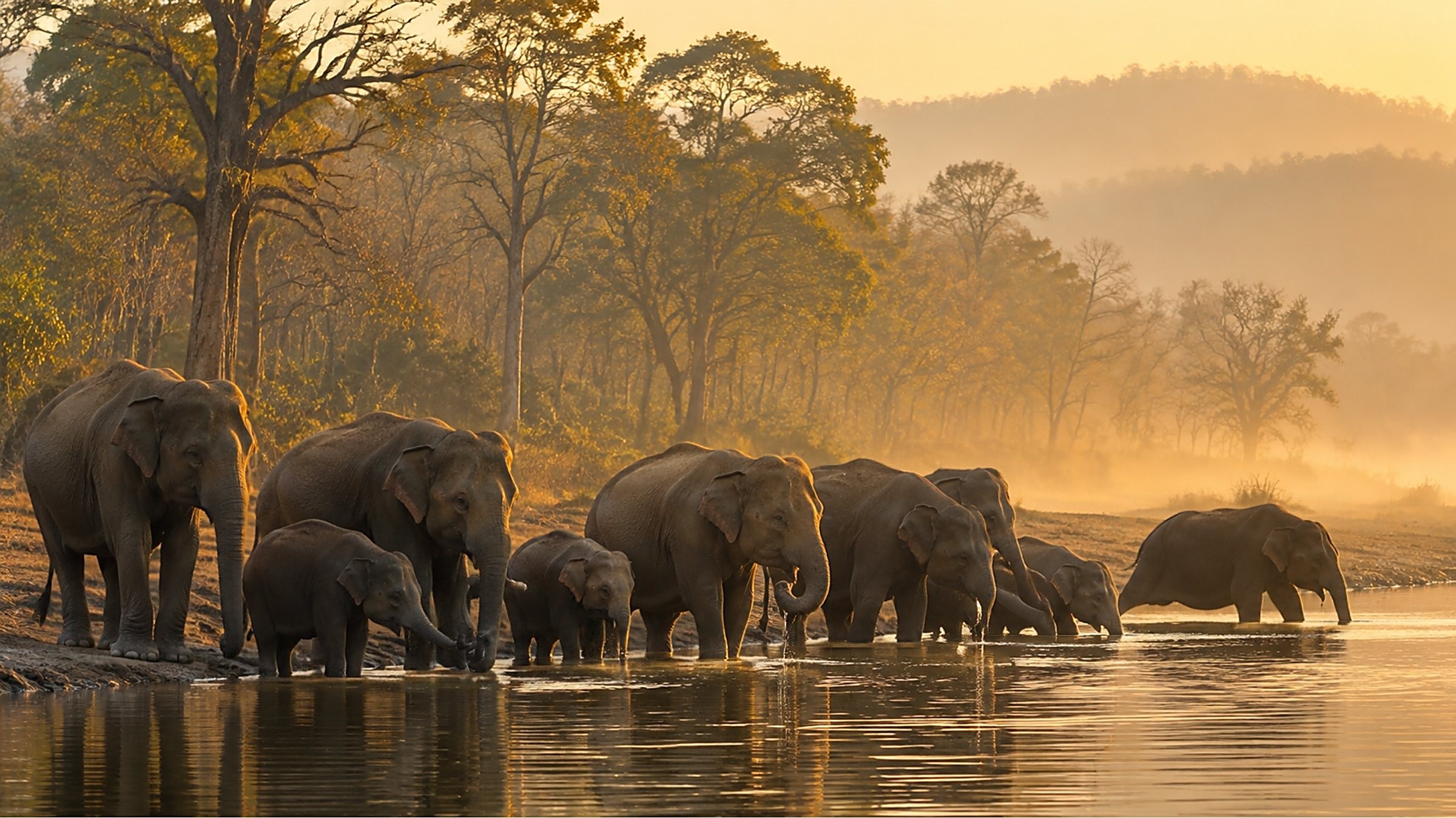 Kabini Jungle and River Safari