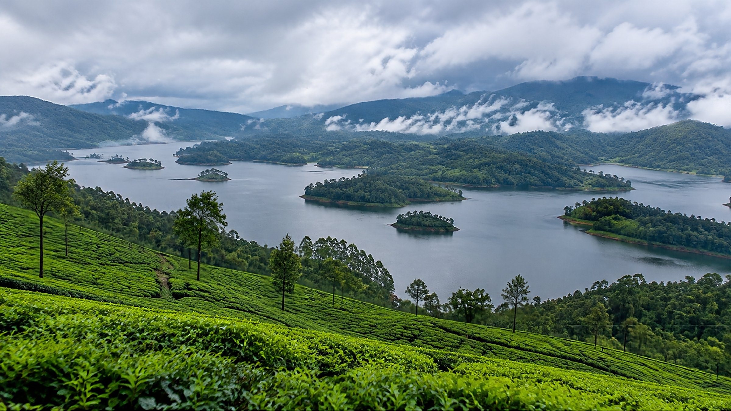 Wayanad Misty Hills Getaway